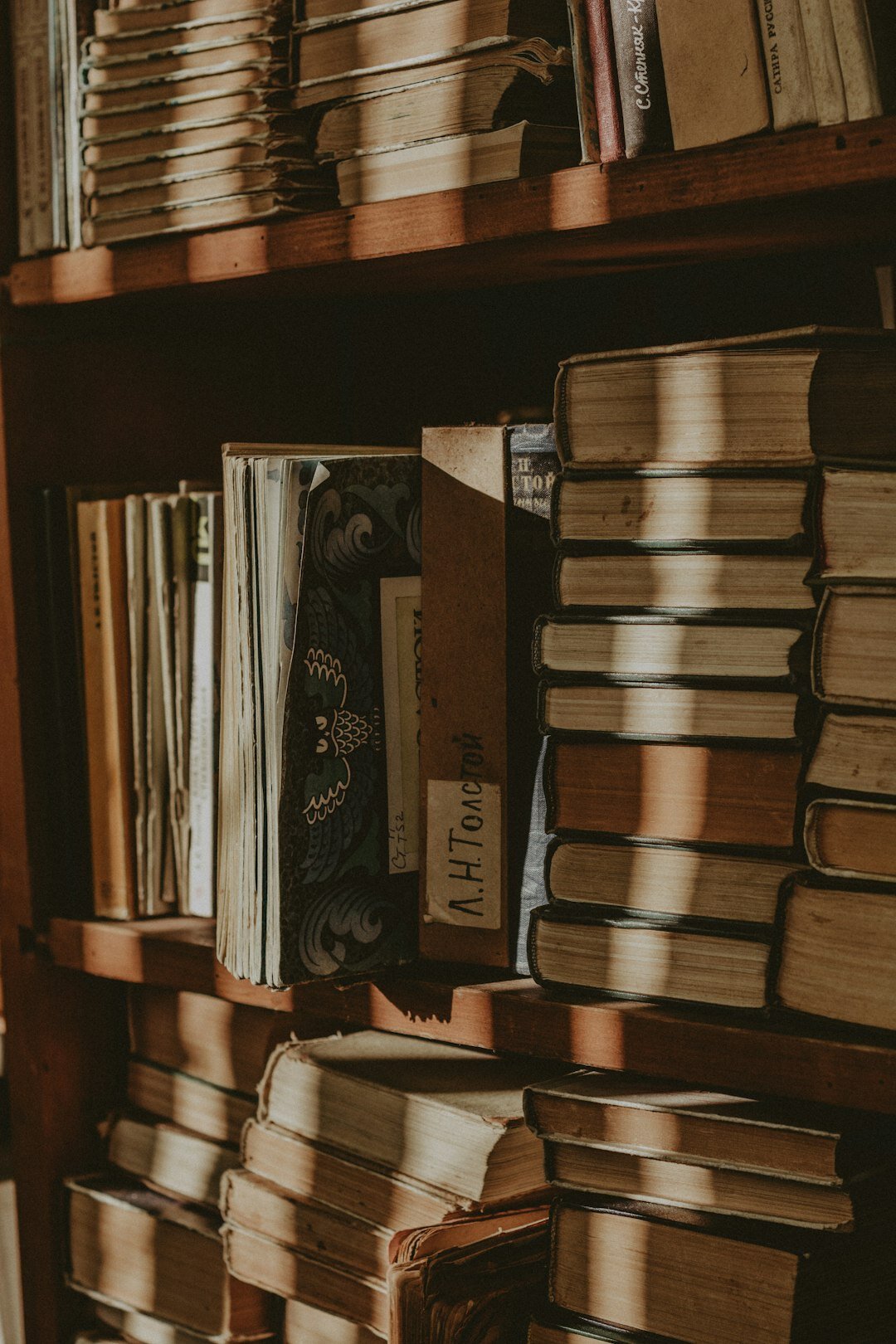 bookshelf with mystery novels
