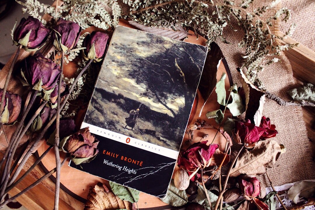 mystery book cover